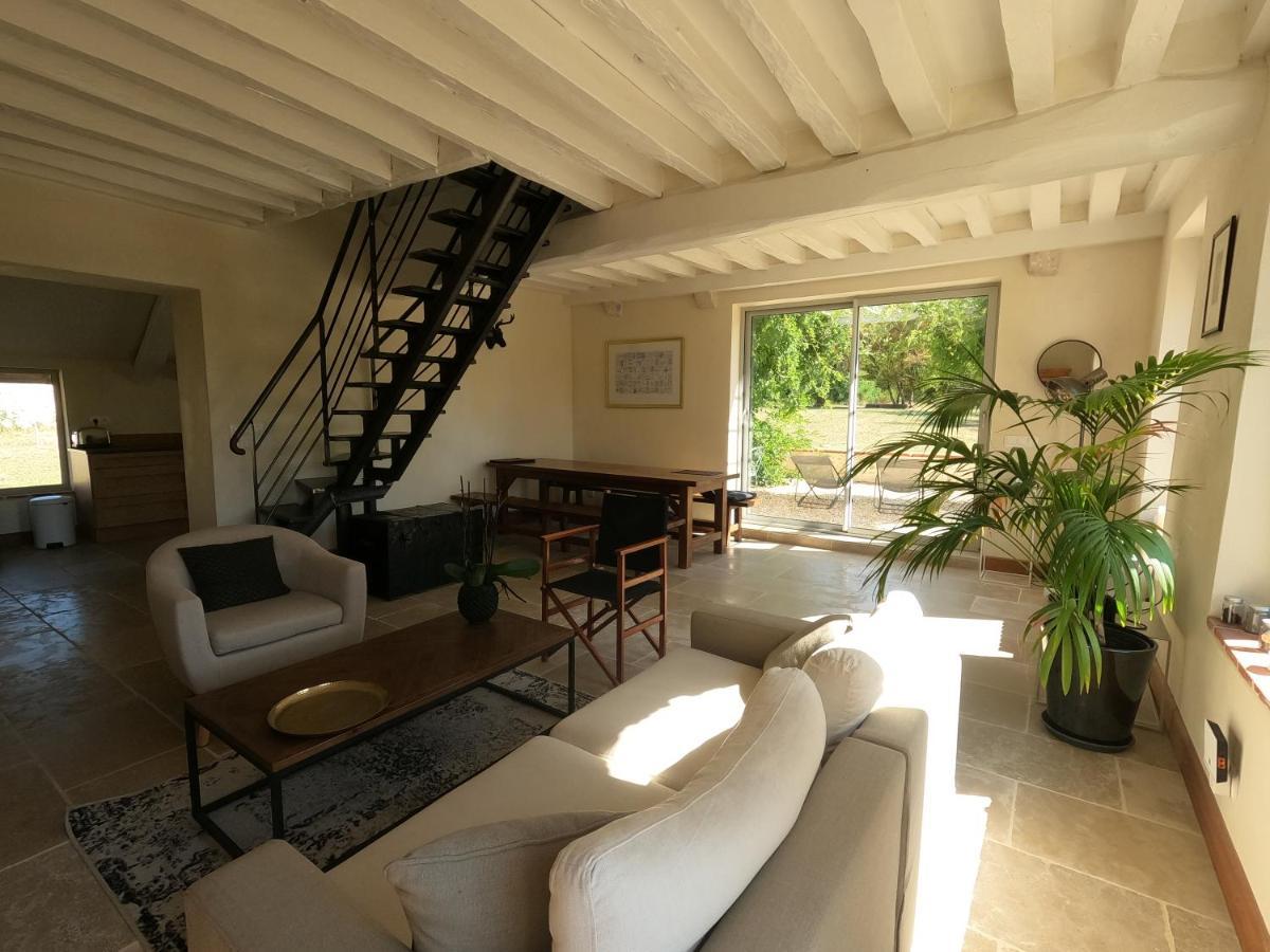 Chateau Des Nouies Βίλα Selles-sur-Cher Εξωτερικό φωτογραφία