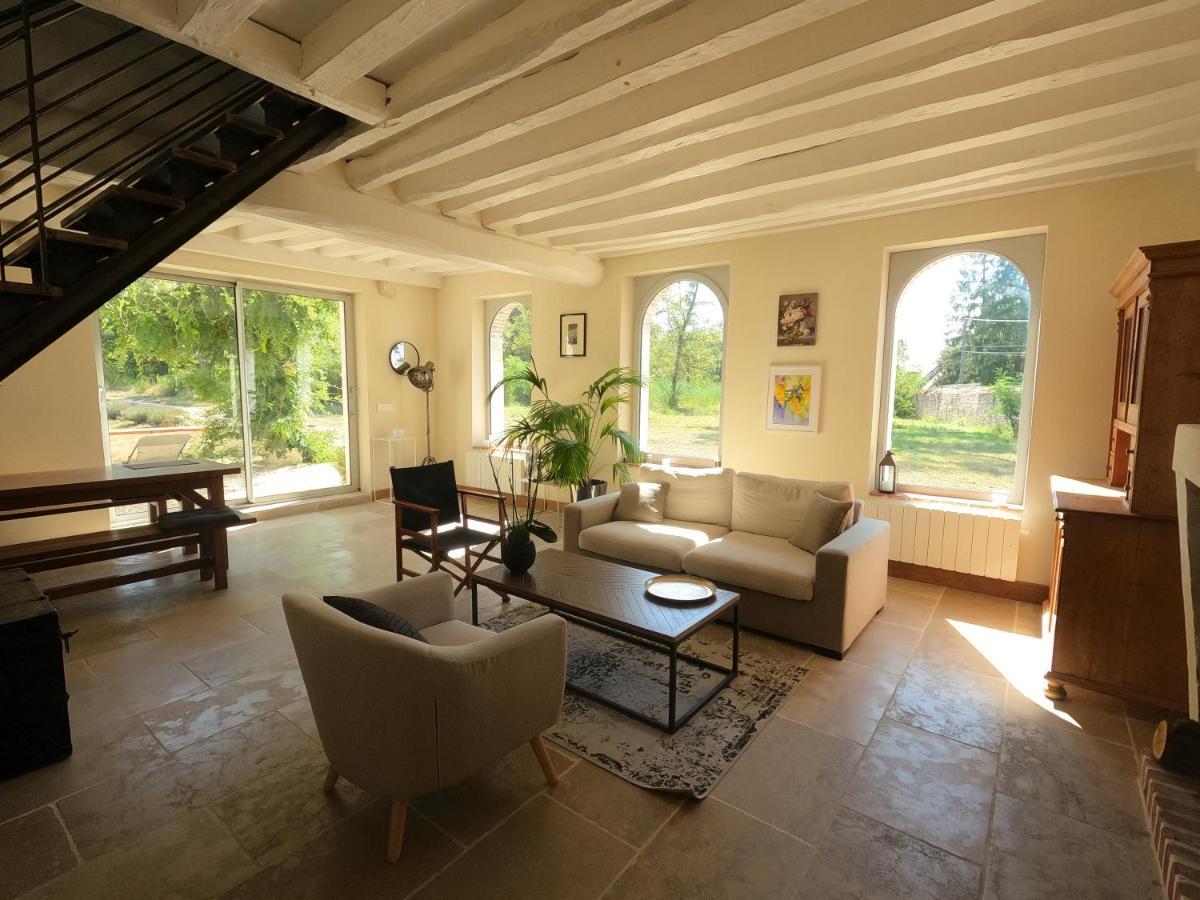 Chateau Des Nouies Βίλα Selles-sur-Cher Εξωτερικό φωτογραφία